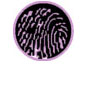 Identidad Corporativa